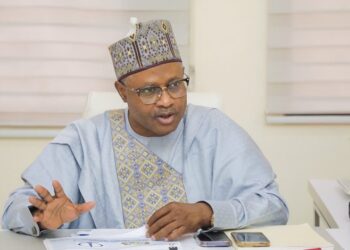 Northern Leaders Destroyed our Region not Tinubu – Kaduna Governor