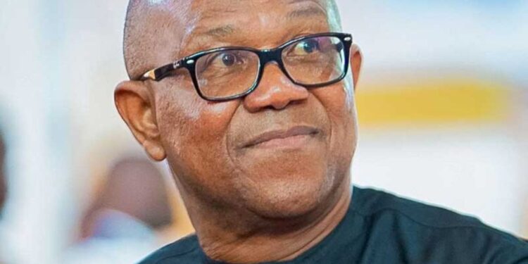 Labour Party Insists on Primaries for 2027 Presidential Ticket, No Automatic Slot for Obi