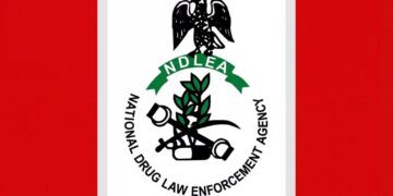 NDLEA Delta Seizes N3bn Worth of Drugs, Secures 226 Convictions in One Year