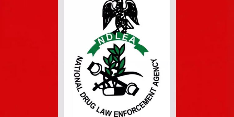 NDLEA Delta Seizes N3bn Worth of Drugs, Secures 226 Convictions in One Year