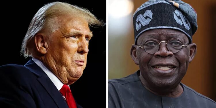 Yoruba Group Backs US-Nigeria Strikes, Seeks Military Ties with Russia, Israel
