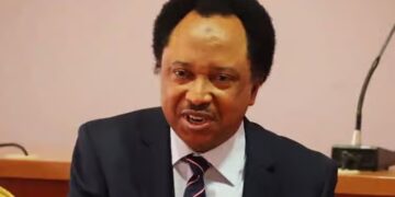 Nigeria’s Security Forces, Not US Strikes, Ensured Yuletide Peace – Sani