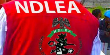Wanted drug kingpin arrested 12 years after killing three NDLEA officers