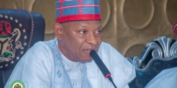 Kano gov hails police over arrest of woman, children killers