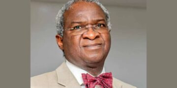 Visa restrictions: Nigeria should assert its position, not beg, says Fashola