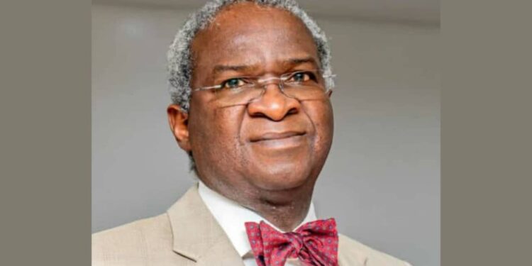 Visa restrictions: Nigeria should assert its position, not beg, says Fashola