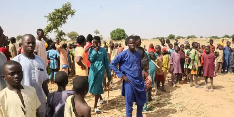 Sokoto: EU, UN step up support to tackle poverty, health, education gaps