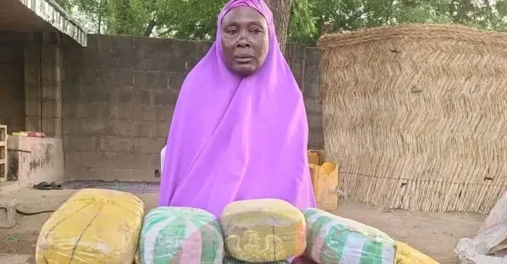 Soldiers arrest woman supplying drugs to terrorists in North-East