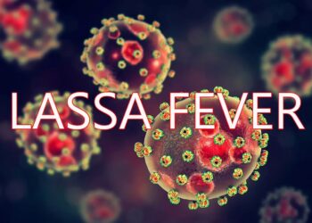 Lassa Fever Claims Lives, Spreads Across Seven LGAs in Plateau