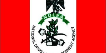 NDLEA Bust: China-Based Nigerian, Two Angolans Expel 236 Cocaine Pellets at Abuja, Kano Airports