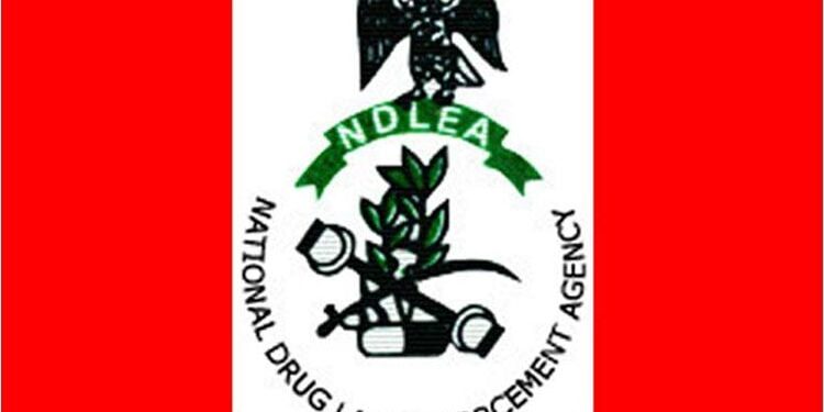 NDLEA Bust: China-Based Nigerian, Two Angolans Expel 236 Cocaine Pellets at Abuja, Kano Airports