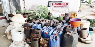 NDLEA Busts Meth Lab in Imo, Nabs Fugitive Drug Kingpin After 13 Years