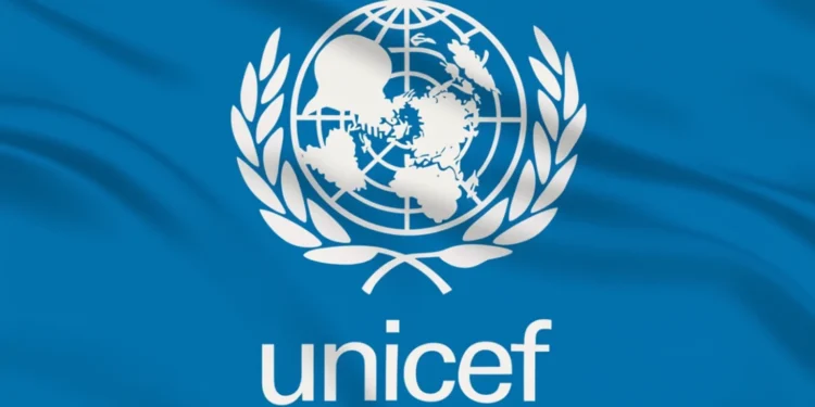 UNICEF: Over 1,100 Children Recruited by Armed Groups in Nigeria’s North-East in 2024