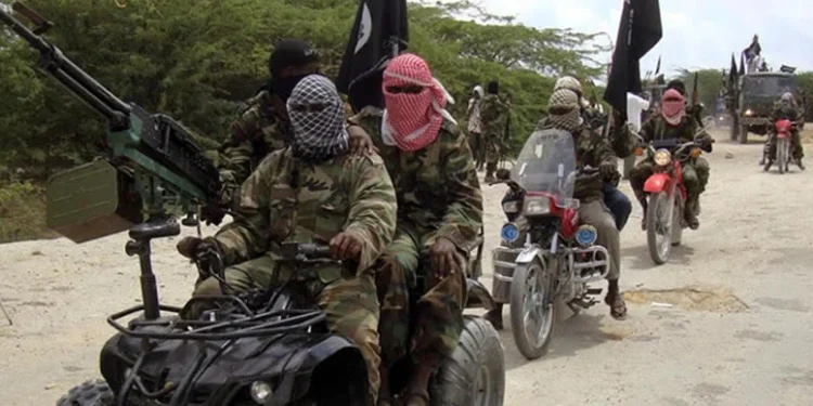 Boko Haram Raid: Hundreds Missing in Borno Community