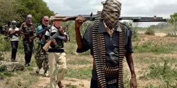 North-Central Under Siege: Residents Expose Bandits Camps in Nasarawa, Kogi, Benue