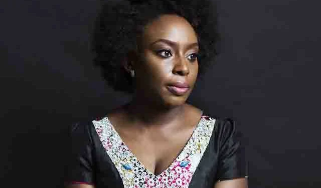 Doctors Demand Apology Over Probe Into Chimamanda’s Son’s Death
