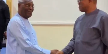 2027: Atiku Risks Losing Adamawa With Obi as Running Mate—Omokri