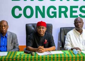 ADC Leadership Crisis Deepens as Factions Clash Ahead of 2027 Elections