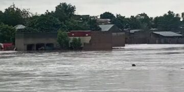 Flood Alert: Cholera Threat Looms in 10 States