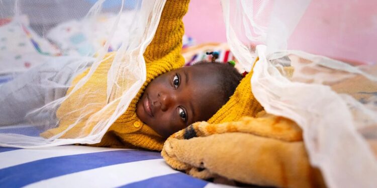 Malaria Threat Lingers as Over 50% of Nigerian Kids Lack Protection
