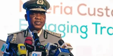 N18.96bn Cannabis Bust: Customs Uncover Drugs Hidden in Imported Cars