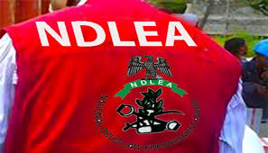 NDLEA Storms BUK Area, Arrests Six in Drug Crackdown