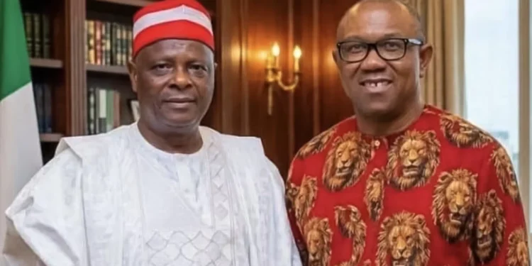 2027: Kwankwaso Signals Alliance with Obi, Backs Southern Presidency Bid and VP Role