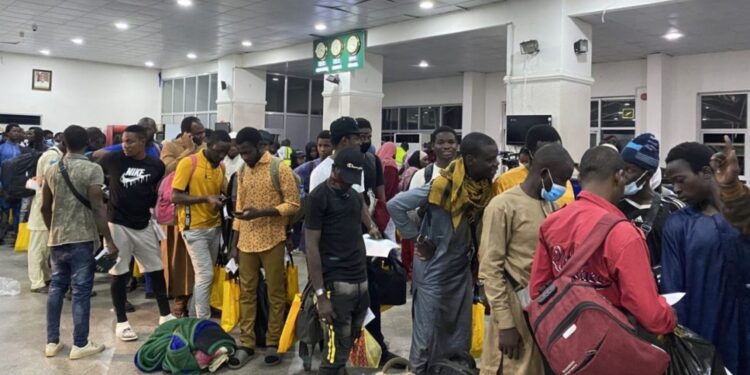 IOM, EU, Nigerian Government Repatriate 180 Migrants from Libya