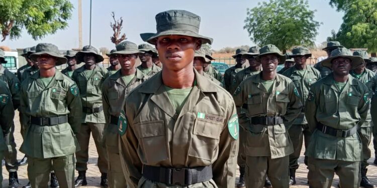 States Expand Forest Guards as Tinubu Tackles Insecurity