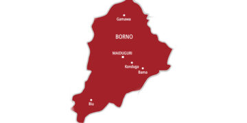 Over 400 Captives Freed After Boko Haram Abduction