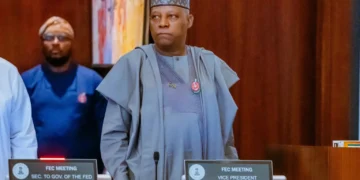 NEC approves N83.21 billion for flood prevention, climate disaster response