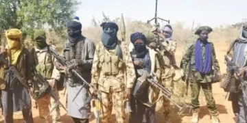 Bandits Displace Hundreds, Including 271 Children, in Zamfara Attack