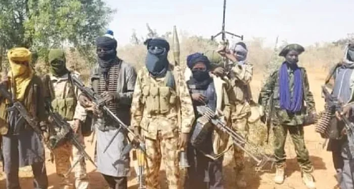 Bandits Displace Hundreds, Including 271 Children, in Zamfara Attack